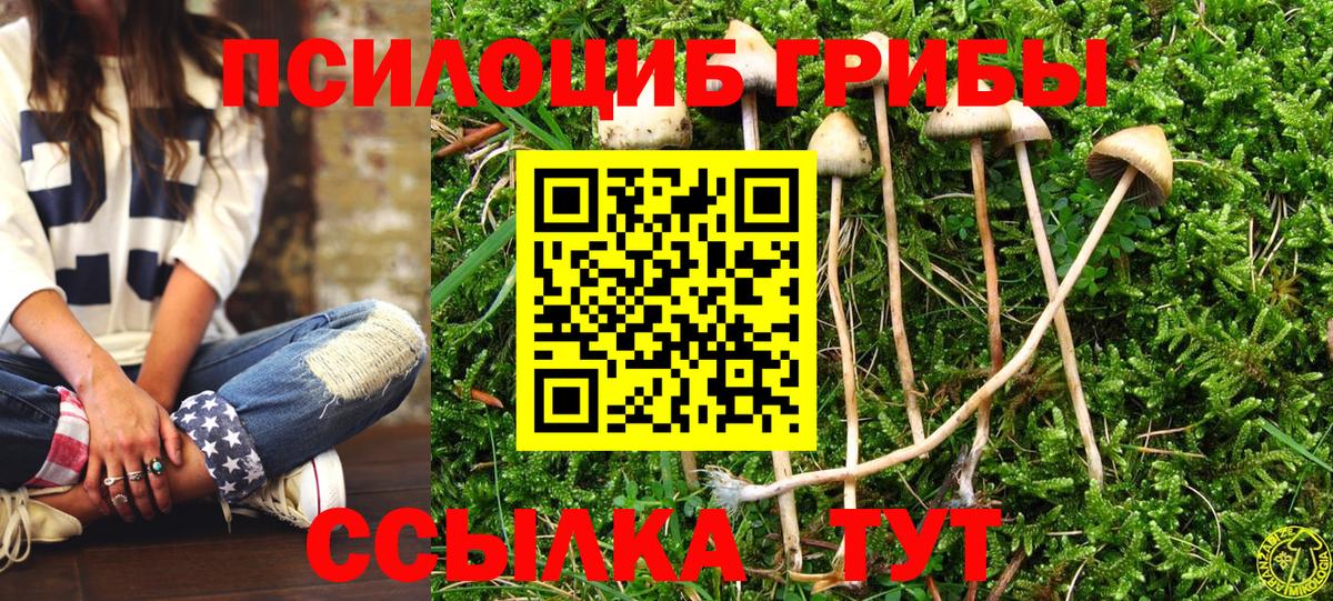 Бошки Шишки Артёмовский