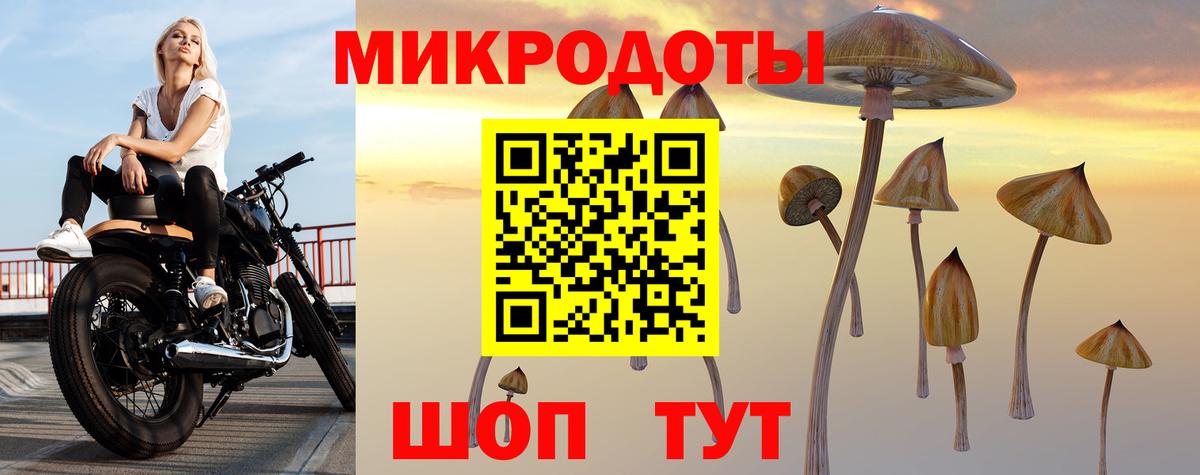 где найти наркотики  Псилоцибиновые грибы мицелий  Вход с VPN  Псилоцибиновые грибы мухоморы  Артёмовский 