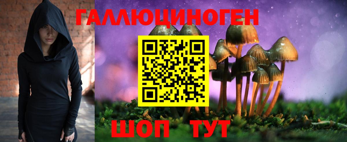Галлюциногенные грибы MAGIC MUSHROOMS Артёмовский